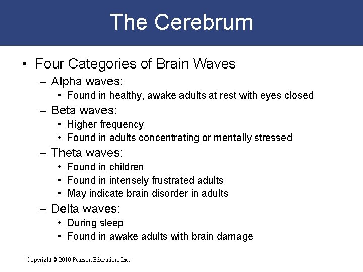 The Cerebrum • Four Categories of Brain Waves – Alpha waves: • Found in