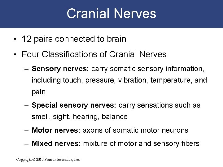 Cranial Nerves • 12 pairs connected to brain • Four Classifications of Cranial Nerves