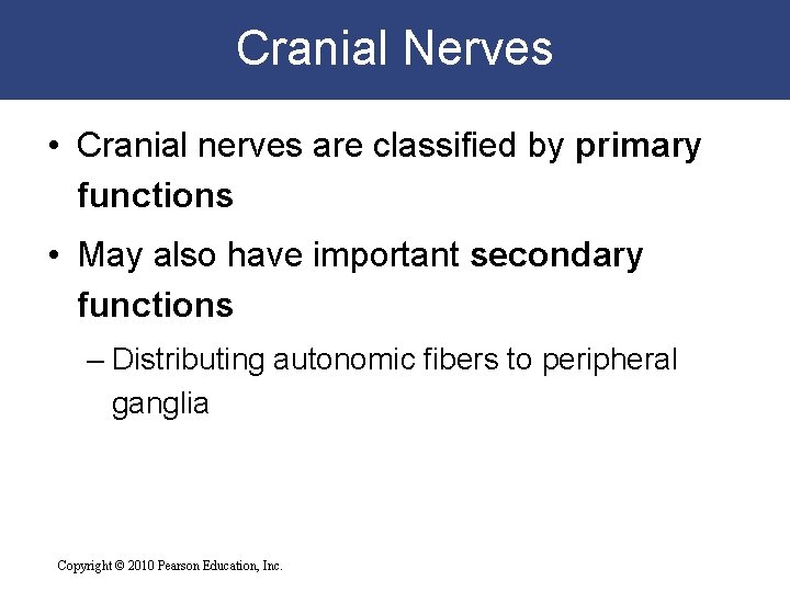 Cranial Nerves • Cranial nerves are classified by primary functions • May also have