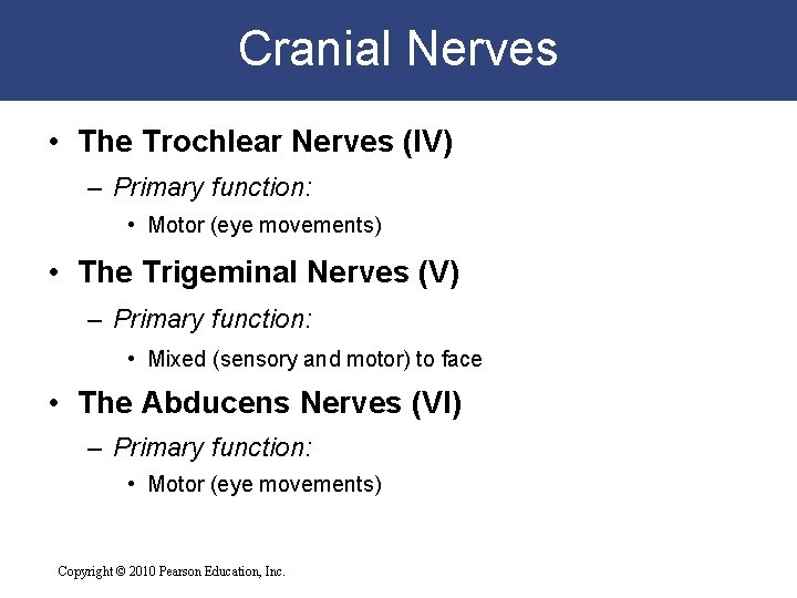Cranial Nerves • The Trochlear Nerves (IV) – Primary function: • Motor (eye movements)