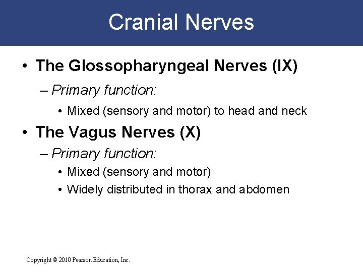 Cranial Nerves • The Glossopharyngeal Nerves (IX) – Primary function: • Mixed (sensory and