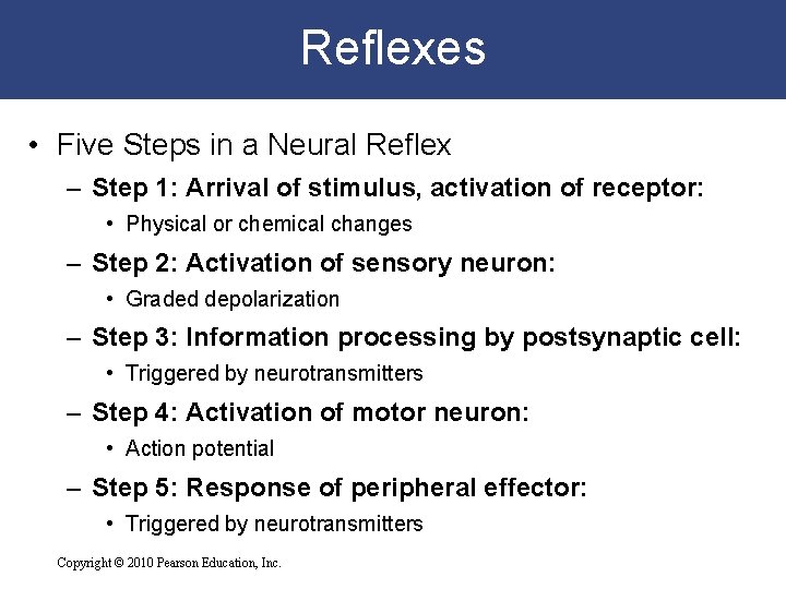 Reflexes • Five Steps in a Neural Reflex – Step 1: Arrival of stimulus,