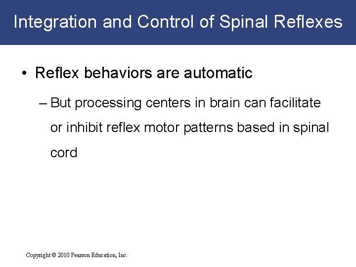 Integration and Control of Spinal Reflexes • Reflex behaviors are automatic – But processing