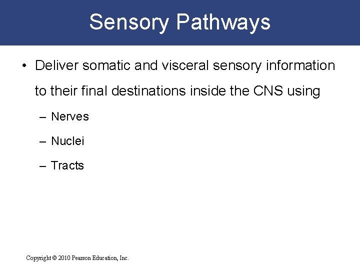 Sensory Pathways • Deliver somatic and visceral sensory information to their final destinations inside