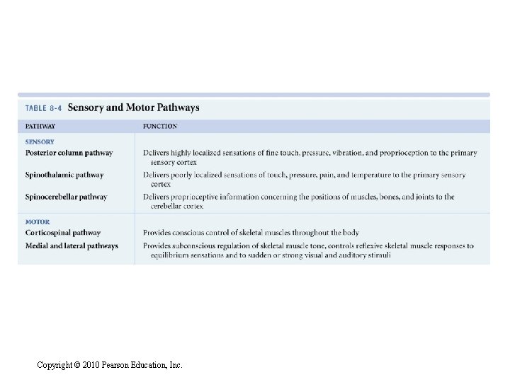 Copyright © 2010 Pearson Education, Inc. 