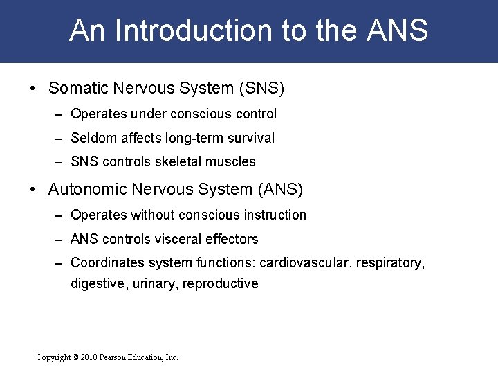 An Introduction to the ANS • Somatic Nervous System (SNS) – Operates under conscious