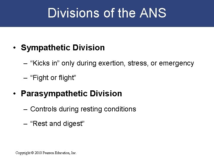 Divisions of the ANS • Sympathetic Division – “Kicks in” only during exertion, stress,