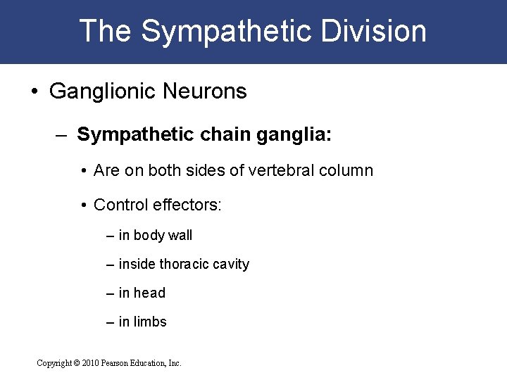 The Sympathetic Division • Ganglionic Neurons – Sympathetic chain ganglia: • Are on both