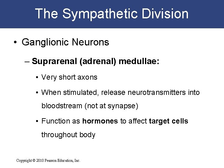 The Sympathetic Division • Ganglionic Neurons – Suprarenal (adrenal) medullae: • Very short axons