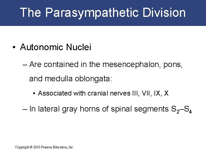 The Parasympathetic Division • Autonomic Nuclei – Are contained in the mesencephalon, pons, and