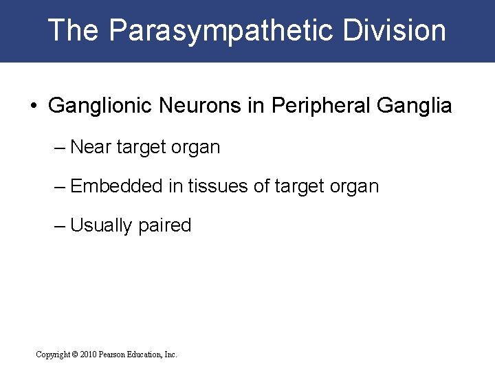 The Parasympathetic Division • Ganglionic Neurons in Peripheral Ganglia – Near target organ –