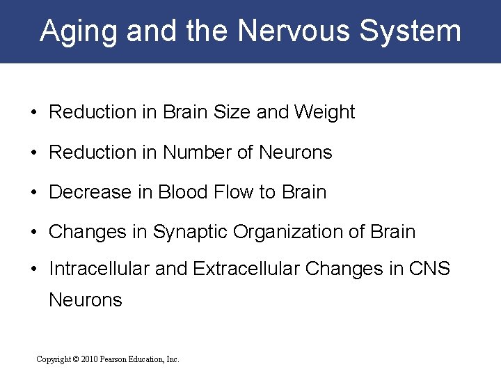Aging and the Nervous System • Reduction in Brain Size and Weight • Reduction