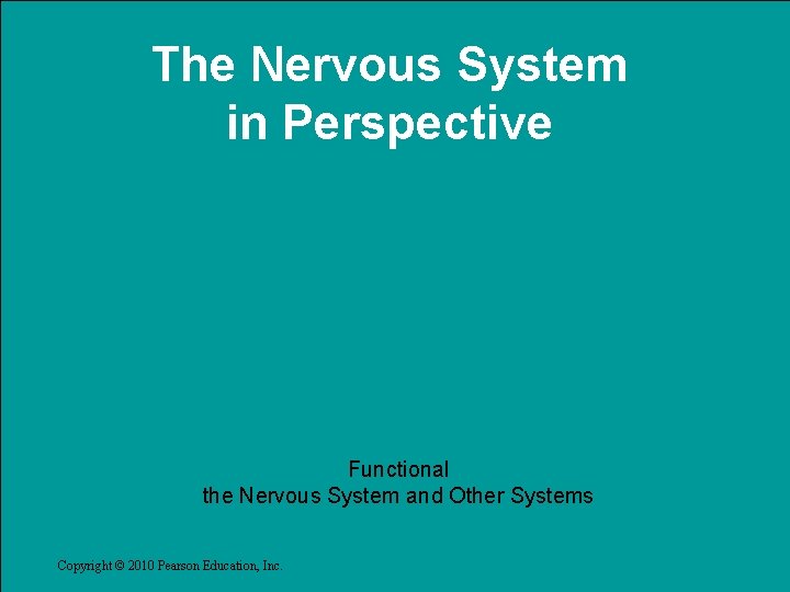 The Nervous System in Perspective Functional the Nervous System and Other Systems Copyright ©