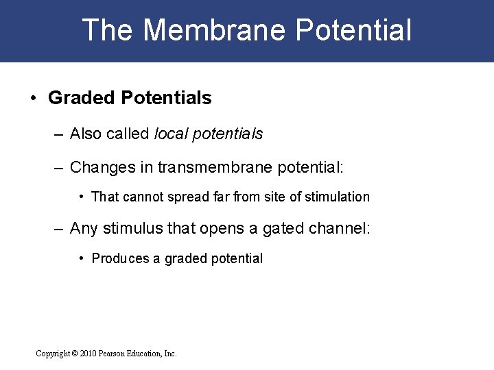 The Membrane Potential • Graded Potentials – Also called local potentials – Changes in