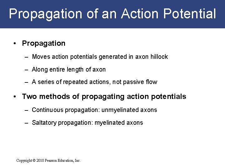 Propagation of an Action Potential • Propagation – Moves action potentials generated in axon