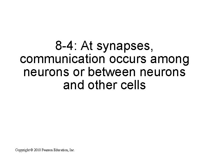 8 -4: At synapses, communication occurs among neurons or between neurons and other cells