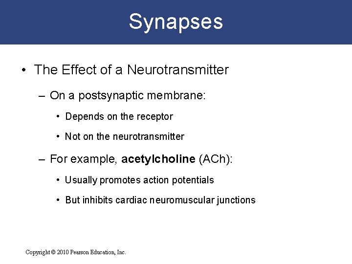 Synapses • The Effect of a Neurotransmitter – On a postsynaptic membrane: • Depends