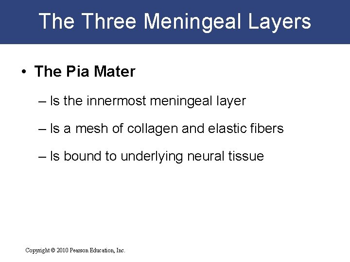The Three Meningeal Layers • The Pia Mater – Is the innermost meningeal layer