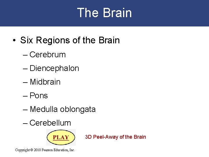 The Brain • Six Regions of the Brain – Cerebrum – Diencephalon – Midbrain
