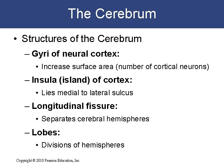 The Cerebrum • Structures of the Cerebrum – Gyri of neural cortex: • Increase