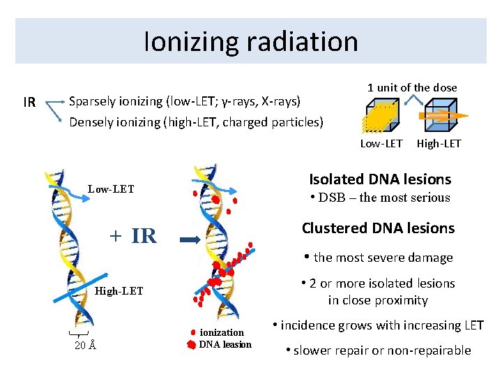 Ionizing radiation IR 1 unit of the dose Sparsely ionizing (low-LET; γ-rays, X-rays) Densely