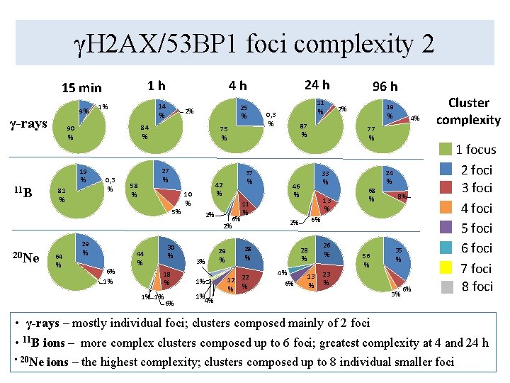 γH 2 AX/53 BP 1 foci complexity 2 1 h 15 min 9% γ-rays