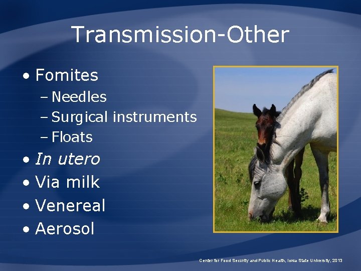 Transmission-Other • Fomites – Needles – Surgical instruments – Floats • In utero •