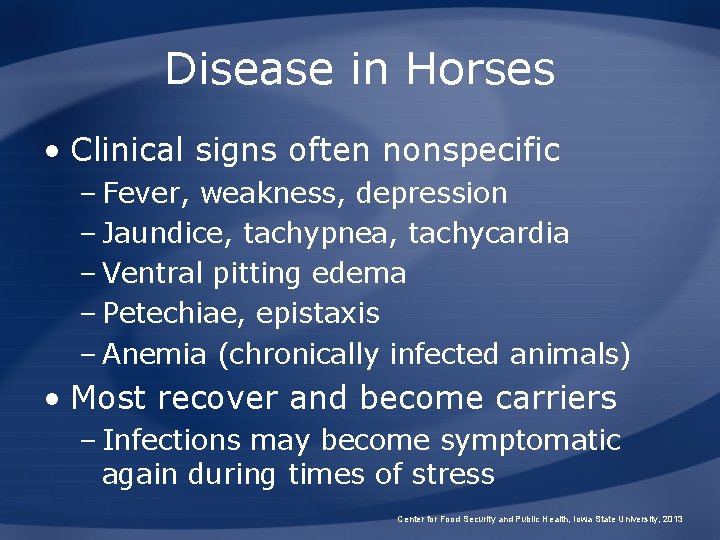 Disease in Horses • Clinical signs often nonspecific – Fever, weakness, depression – Jaundice,