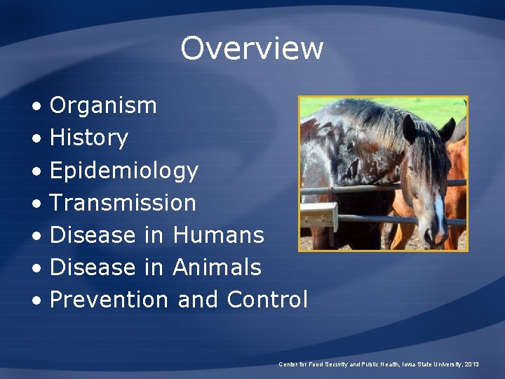 Overview • Organism • History • Epidemiology • Transmission • Disease in Humans •