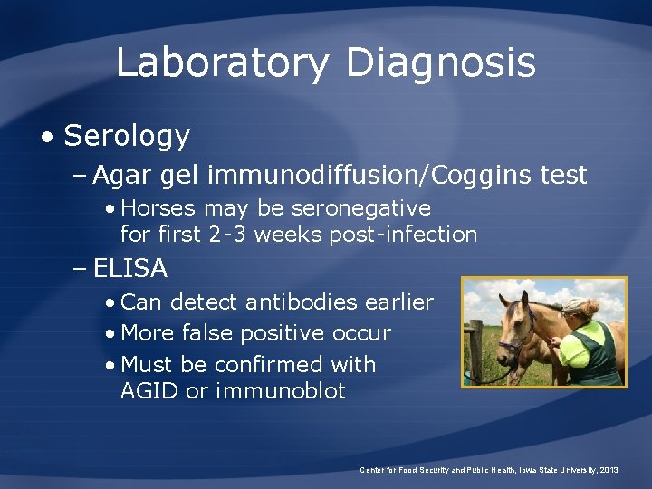 Laboratory Diagnosis • Serology – Agar gel immunodiffusion/Coggins test • Horses may be seronegative