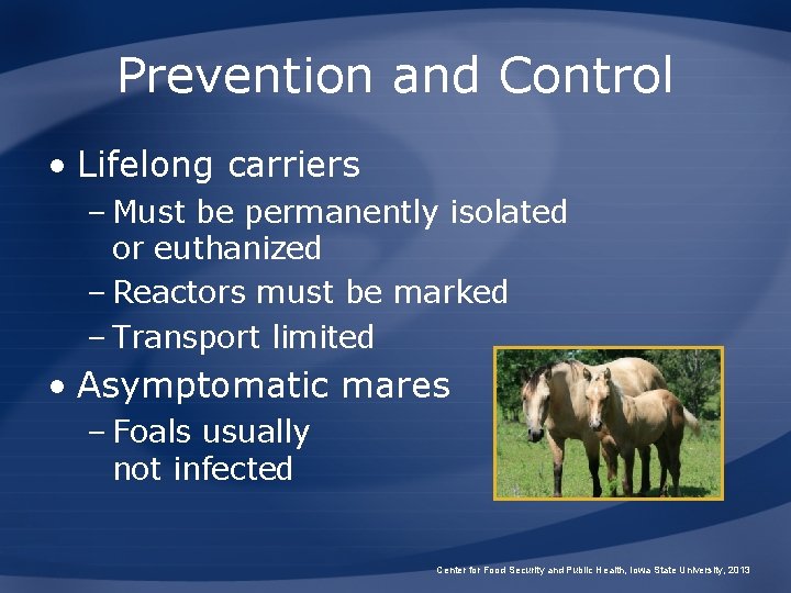 Prevention and Control • Lifelong carriers – Must be permanently isolated or euthanized –