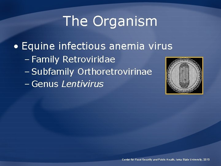 The Organism • Equine infectious anemia virus – Family Retroviridae – Subfamily Orthoretrovirinae –