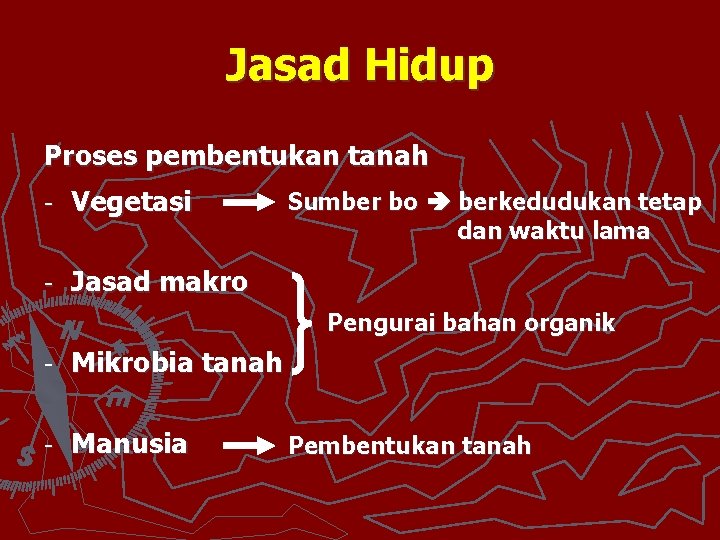 Jasad Hidup Proses pembentukan tanah - Vegetasi Sumber bo berkedudukan tetap dan waktu lama