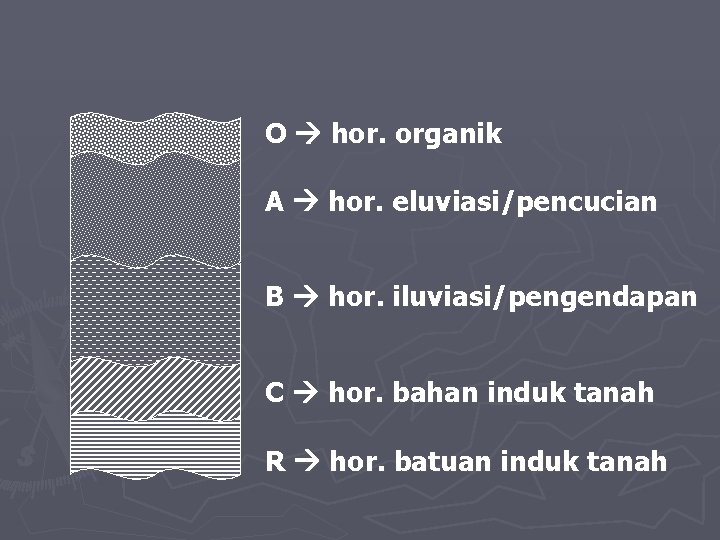 O hor. organik A hor. eluviasi/pencucian B hor. iluviasi/pengendapan C hor. bahan induk tanah