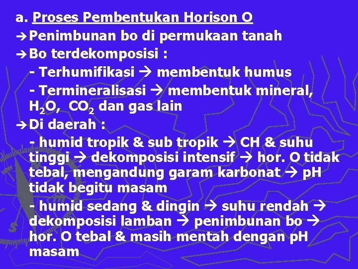 a. Proses Pembentukan Horison O è Penimbunan bo di permukaan tanah è Bo terdekomposisi