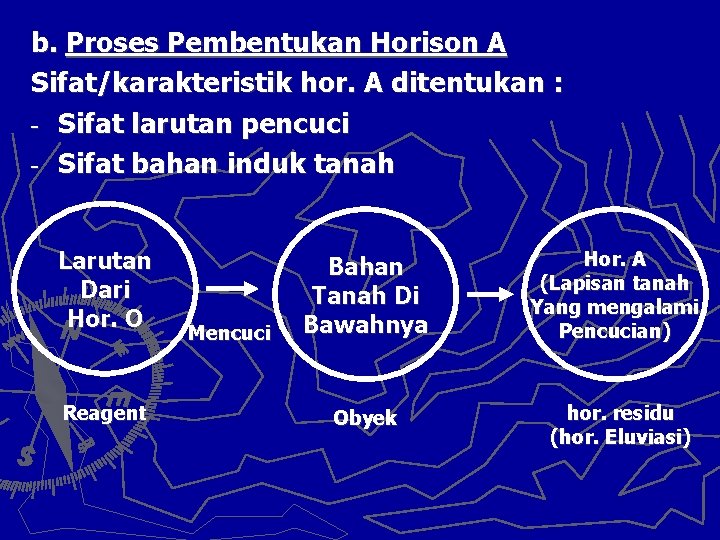 b. Proses Pembentukan Horison A Sifat/karakteristik hor. A ditentukan : - Sifat larutan pencuci