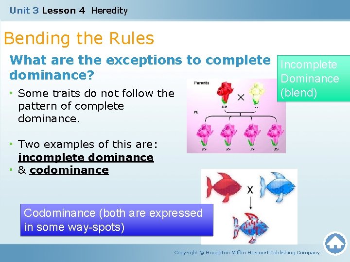 Unit 3 Lesson 4 Heredity Bending the Rules What are the exceptions to complete