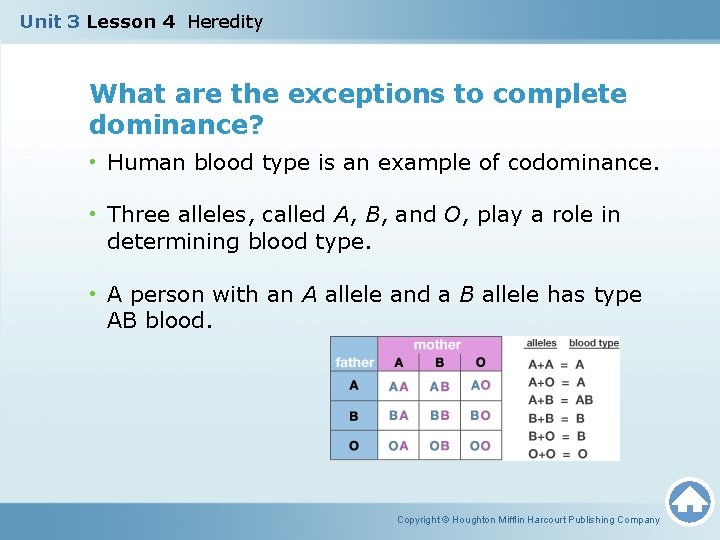 Unit 3 Lesson 4 Heredity What are the exceptions to complete dominance? • Human