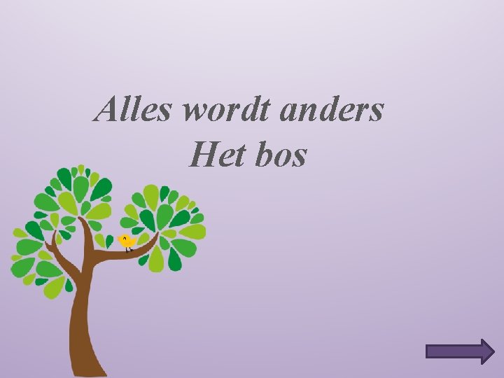 Alles wordt anders Het bos 