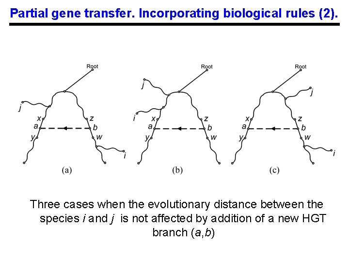 Partial gene transfer. Incorporating biological rules (2). Three cases when the evolutionary distance between