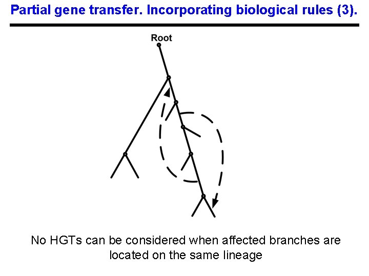 Partial gene transfer. Incorporating biological rules (3). No HGTs can be considered when affected