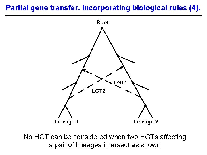 Partial gene transfer. Incorporating biological rules (4). No HGT can be considered when two