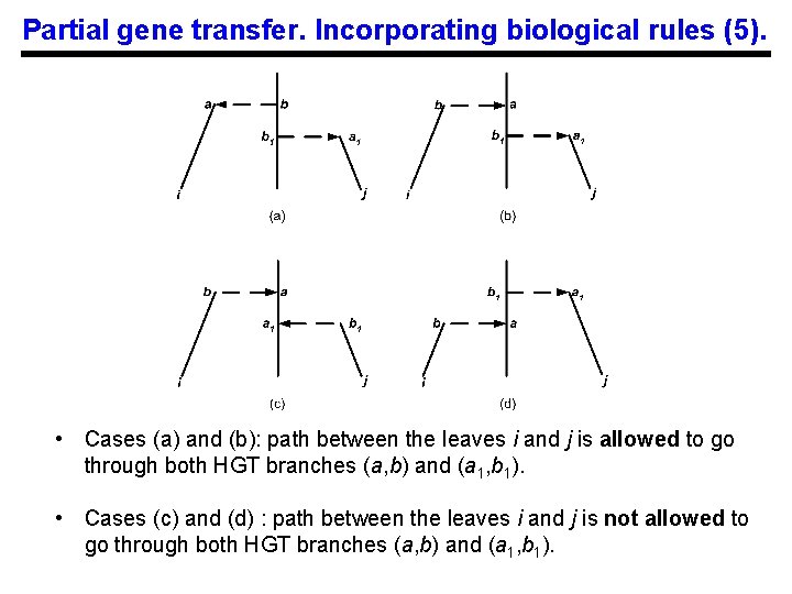 Partial gene transfer. Incorporating biological rules (5). • Cases (a) and (b): path between