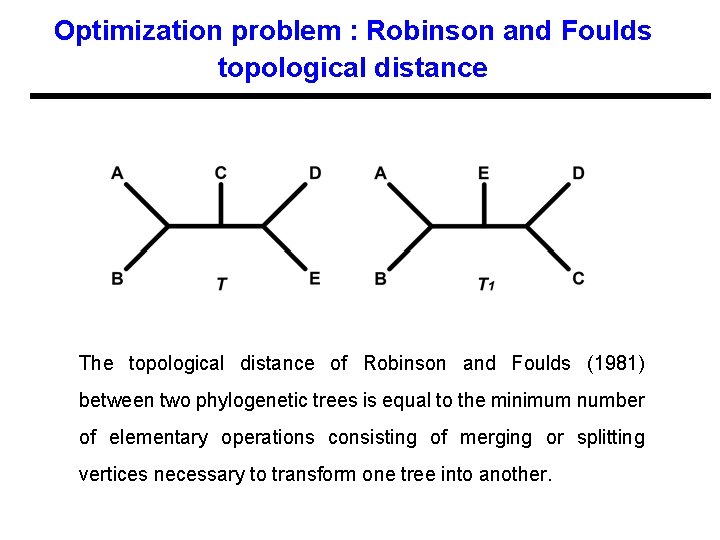Optimization problem : Robinson and Foulds topological distance The topological distance of Robinson and