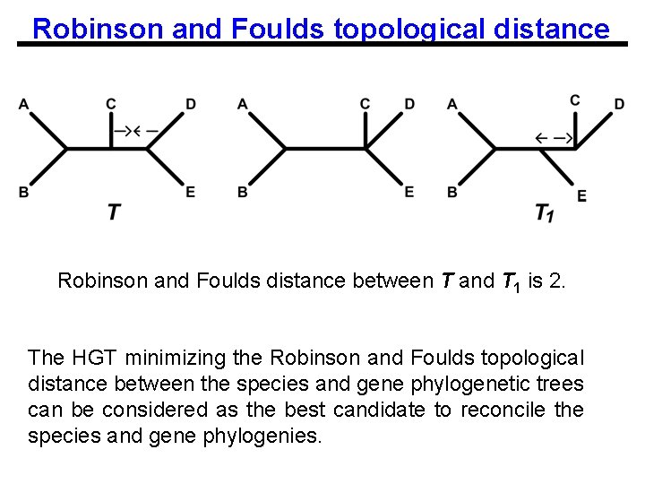 Robinson and Foulds topological distance Robinson and Foulds distance between T and T 1