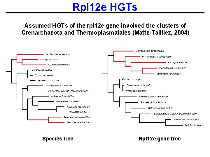 Rpl 12 e HGTs Assumed HGTs of the rpl 12 e gene involved the