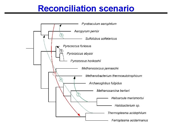 Reconciliation scenario 