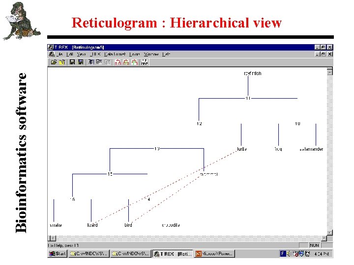 Bioinformatics software Reticulogram : Hierarchical view 