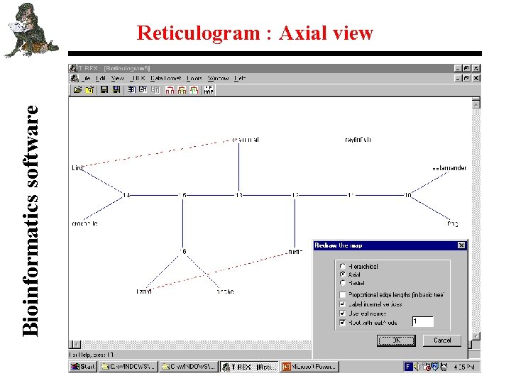 Bioinformatics software Reticulogram : Axial view 