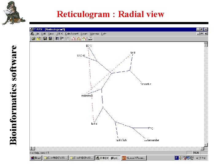 Bioinformatics software Reticulogram : Radial view 